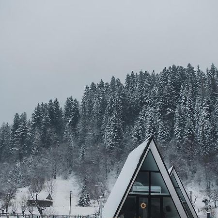 Vila Mountains Hut Mykulyčyn Exteriér fotografie
